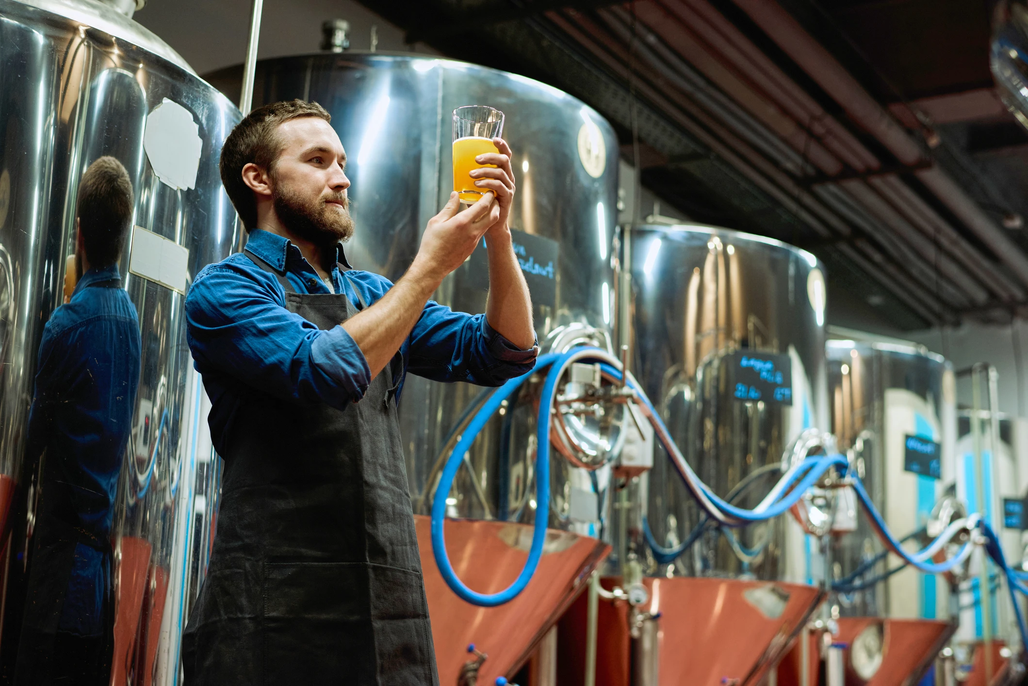 Bierbrauen Filtration